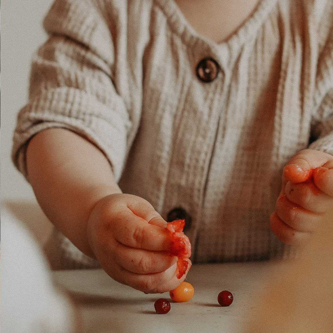 Baby hands holding berries