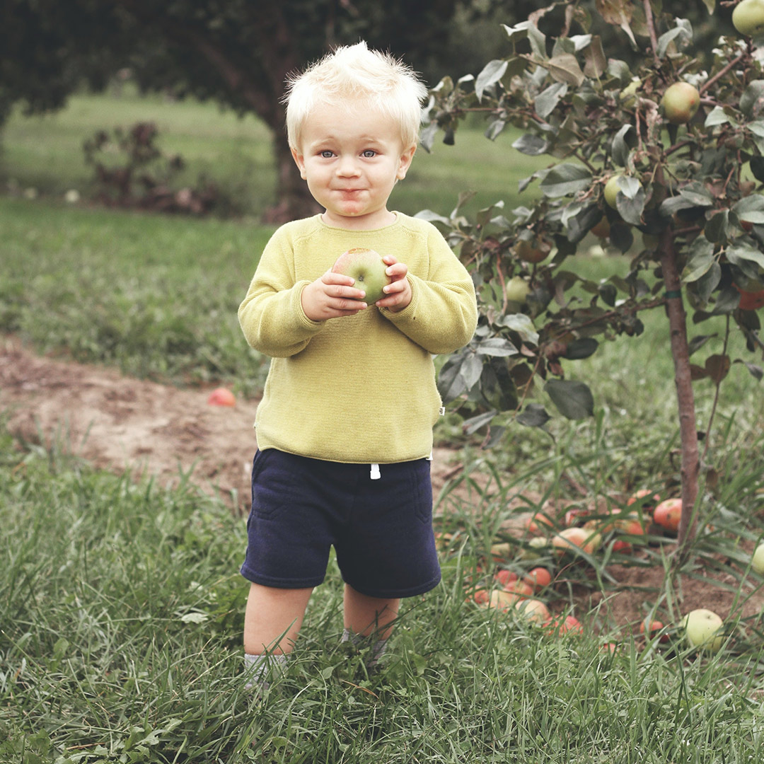 Kid holding apple